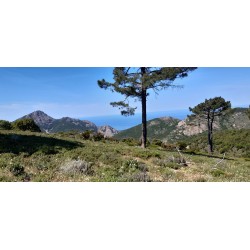 raid 4x4 corse familles juillet 2027
