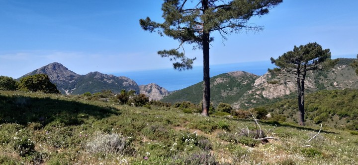 raid 4x4 corse familles juillet 2027