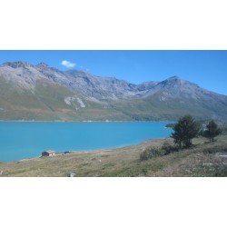 raid 4x4 alpes nature familles juillet 2027