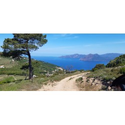 raid 4L en Corse  2027 avec SDO