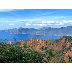 Rallye touristique GT coupés sport / Road Trip / Autos Sportives / Tour de Corse 2026 / France