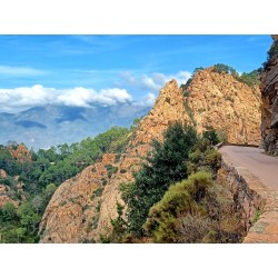 Rallye touristique GT coupés sport / Road Trip / Autos Sportives / Tour de Corse 2026 / France