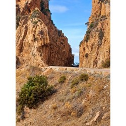 Rallye touristique GT coupés sport / Road Trip / Autos Sportives / Tour de Corse 2026 / France