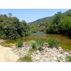 Raid 4x4 Sardaigne 2026