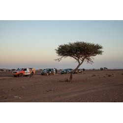 Raid Duster Maroc 2027