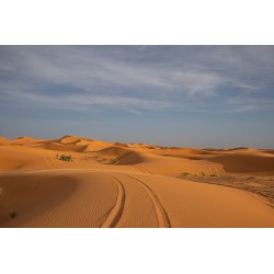 Raid Duster Maroc 2027