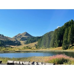 Rallye Touristique GT coupés sport / Road Trip / Autos Sportives / Route des Grandes Alpes 2027 / France