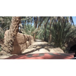 Raid 4x4 SDO Maroc Hôtels 2027