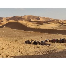 Raid 4x4 SDO Maroc Hôtels 2027