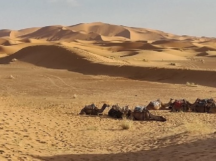 Raid 4x4 SDO Maroc Riads 2027