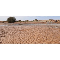 Raid 4x4 SDO Maroc Hôtels 2027
