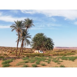 Raid 4x4 SDO Maroc Hôtels 2027