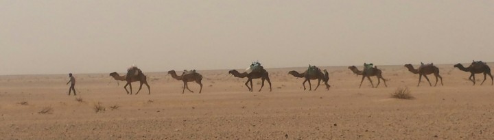 Marocco Express 2027 Le vrai Raid 4L au Maroc !