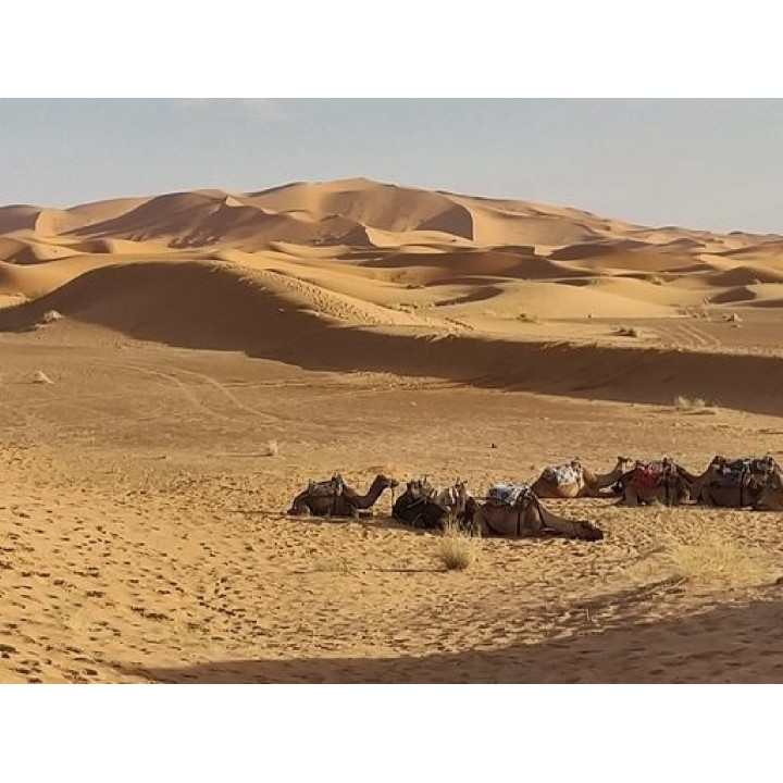 Raid 4x4 Maroc Cap au Sud 2027