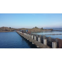 Voyage 4x4 Grèce 2026 / Raid 4x4 Grèce 2026