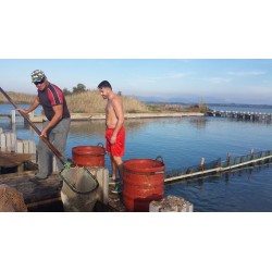 Voyage 4x4 Grèce 2026 / Raid 4x4 Grèce 2026