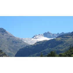 raid 4x4 alpes nature familles juillet 2027