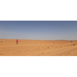 Marocco Express 2027 Le vrai Raid 4L au Maroc !