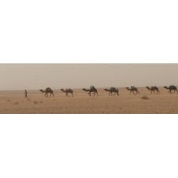 Raid Duster Maroc 2027