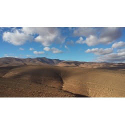Raid Duster Maroc 2027