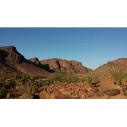 Rallye Duster Maroc Challenge 2027