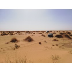 Raid Duster Maroc 2027