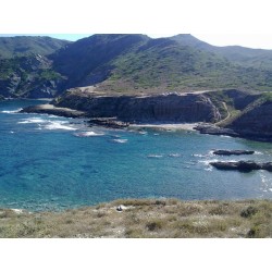 Raid 4x4 Sardaigne 2026