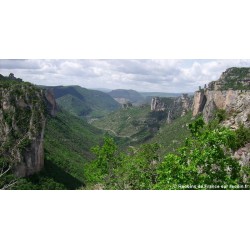 Vacances 4x4 Familles Aveyron 2027