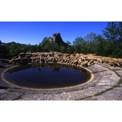 Vacances 4x4 Familles Aveyron 2027