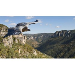 Vacances 4x4 Familles Aveyron 2027