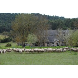 Vacances 4x4 Familles Aveyron 2027