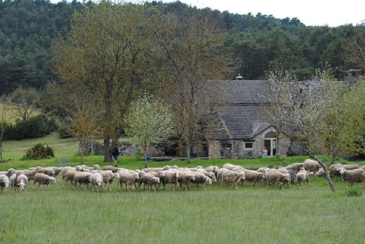 Vacances 4x4 Familles Aveyron 2027